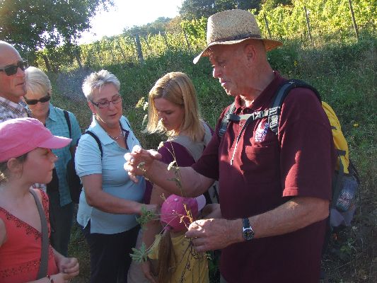 Weinbergwanderung_Oktober2011_10.jpg