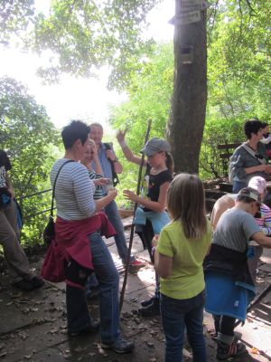 Wanderung_2013_09.jpg