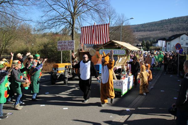 Kreisumzug_2017_067.jpg