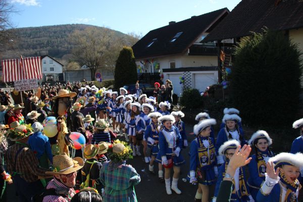 Kreisumzug_2017_086.jpg