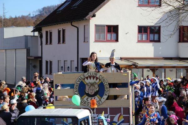 Kreisumzug_2017_124.jpg