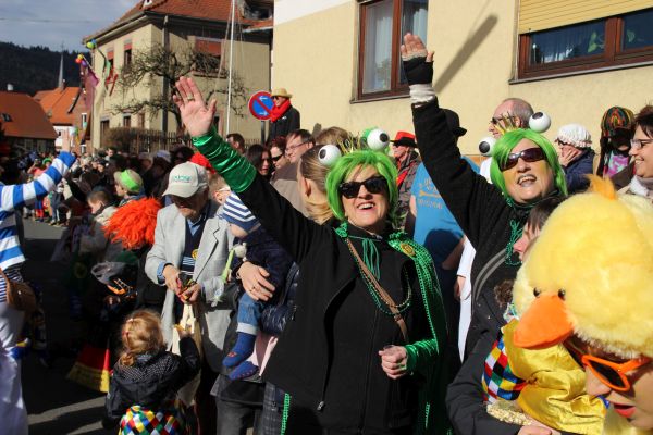 Kreisumzug_2017_177.jpg